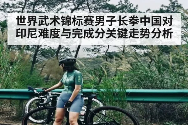 世界武术锦标赛男子长拳中国对印尼难度与完成分关键走势分析